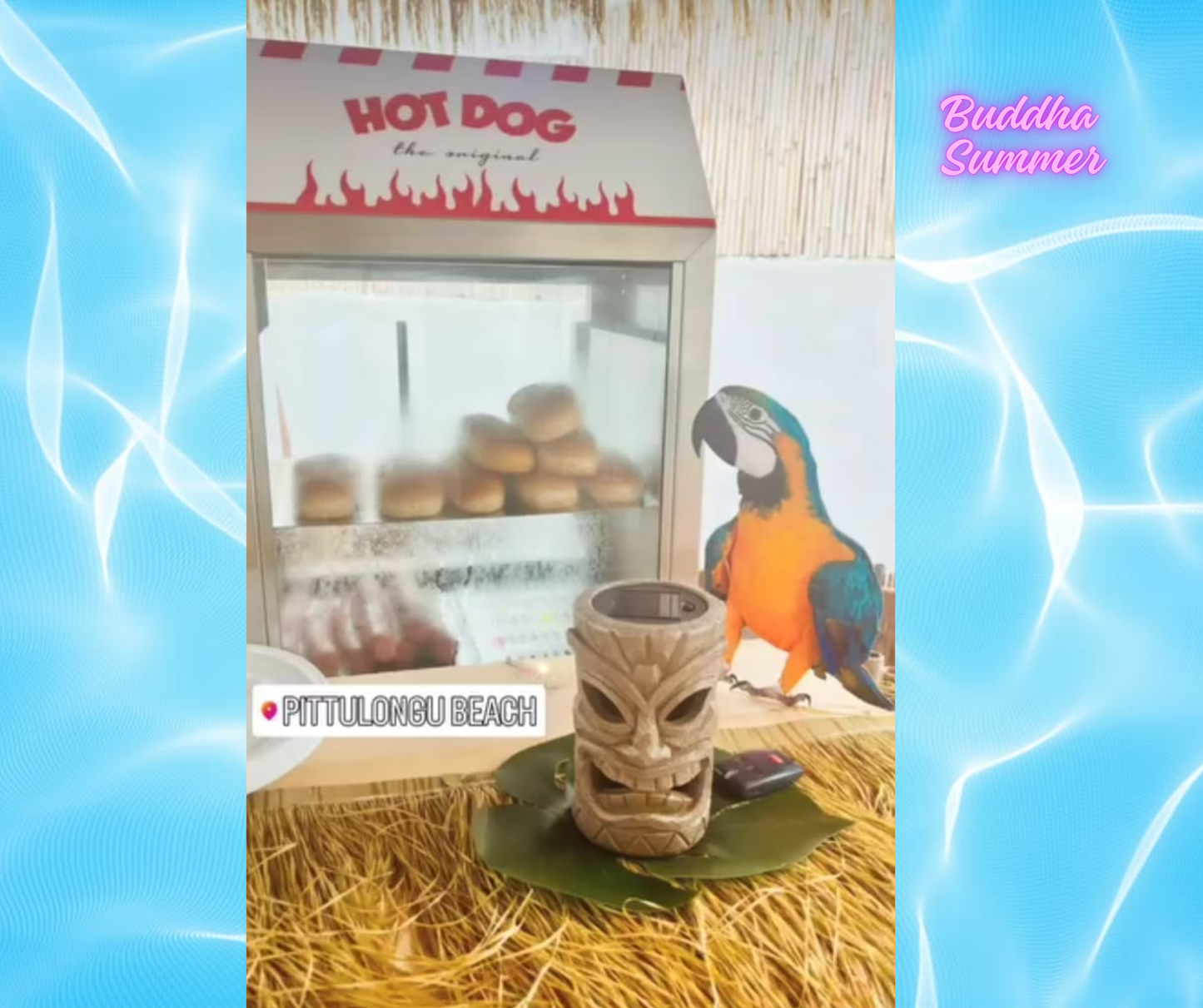 Noleggio Macchina Professionale Per Hot Dog